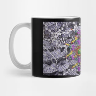 Kinetochore Mug